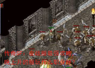 传奇SF:夜战服最强攻略,晚上开的服玩什么职业好? 传奇SF:夜战服最强攻略,晚上开的服玩什么职业好?