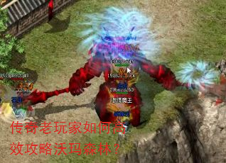 传奇老玩家如何高效攻略沃玛森林? 传奇老玩家如何高效攻略沃玛森林?