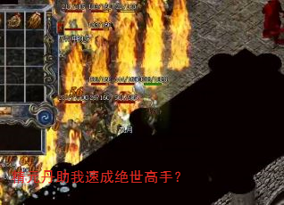 精元丹助我速成绝世高手? 精元丹助我速成绝世高手?