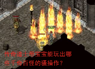 传奇道士带宝宝能玩出哪些千奇百怪的骚操作? 传奇道士带宝宝能玩出哪些千奇百怪的骚操作?