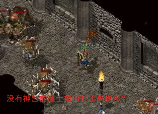 没有神兽的道士如何打出高伤害? 没有神兽的道士如何打出高伤害?