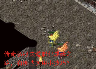 ˽ְҵɳ֮·ЩʵСɣ