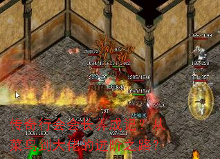 л᳤ɼǣӲ񵽴еĽ֮·