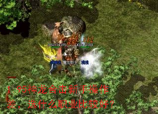 1.95神龙合击新手操作差,选什么职业比较好? 1.95神龙合击新手操作差,选什么职业比较好?