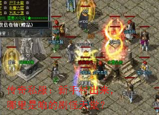 传奇私服:新手村出来,哪里是咱的刷怪天堂? 传奇私服:新手村出来,哪里是咱的刷怪天堂?