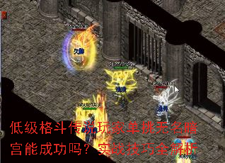 低级格斗传说玩家单挑无名暗宫能成功吗?实战技巧全解析 低级格斗传说玩家单挑无名暗宫能成功吗?实战技巧全解析