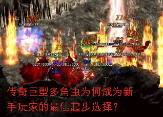 传奇巨型多角虫为何成为新手玩家的最佳起步选择? 传奇巨型多角虫为何成为新手玩家的最佳起步选择?