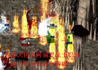 Ϊƫսʿְҵսʿ淨ȫ