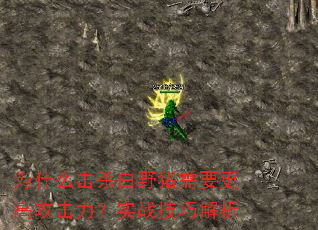 ΪʲôɱҰҪ߹ʵսɽ