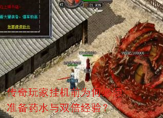 传奇玩家挂机前为何必须准备药水与双倍经验? 传奇玩家挂机前为何必须准备药水与双倍经验?