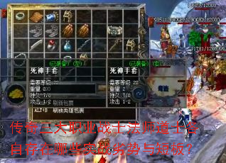 ְҵսʿʦʿԴЩʵս̰壿