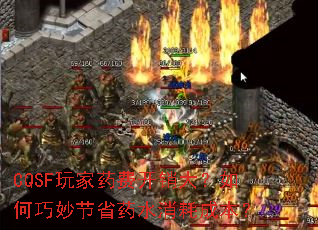 CQSF玩家药费开销大?如何巧妙节省药水消耗成本? CQSF玩家药费开销大?如何巧妙节省药水消耗成本?