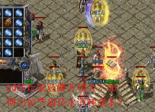 CQSF玩家药费开销大?如何巧妙节省药水消耗成本? CQSF玩家药费开销大?如何巧妙节省药水消耗成本?