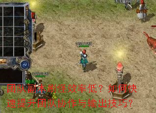 ŶӸˢЧʵͣοŶЭɣ