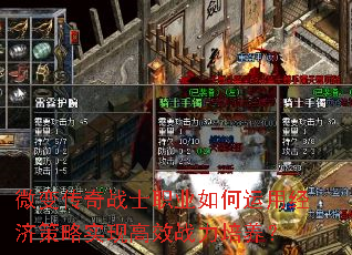 ΢䴫սʿְҵþòʵָЧս