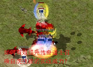 如何有效提升传奇道士召唤白虎技能的实战威力? 如何有效提升传奇道士召唤白虎技能的实战威力?