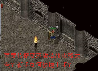 蛮荒传奇变态版私服攻略大全?新手如何快速上手? 蛮荒传奇变态版私服攻略大全?新手如何快速上手?