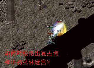 如何轻松走出复古传神中的丛林迷宫? 如何轻松走出复古传神中的丛林迷宫?