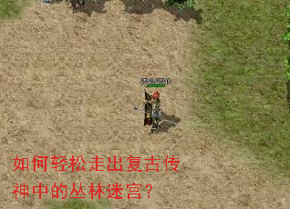 如何轻松走出复古传神中的丛林迷宫? 如何轻松走出复古传神中的丛林迷宫?