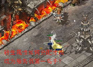转生属性如何分配才能成为服务器第一高手? 转生属性如何分配才能成为服务器第一高手?