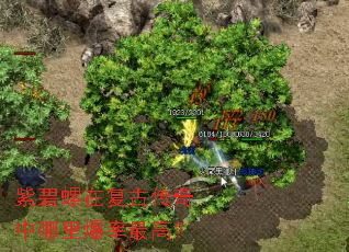 紫碧螺在复古传奇中哪里爆率最高? 紫碧螺在复古传奇中哪里爆率最高?