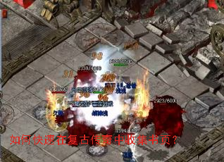 ��ο����ڸ��Ŵ������ռ���ҳ��