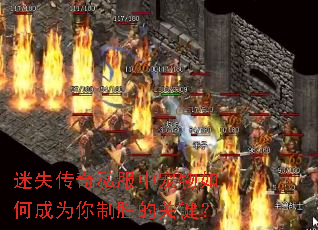 ��ʧ����˽���г�����γ�Ϊ����ʤ�Ĺؼ���