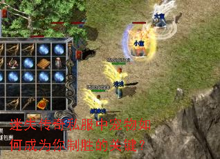 ��ʧ����˽���г�����γ�Ϊ����ʤ�Ĺؼ���