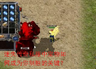 ��ʧ����˽���г�����γ�Ϊ����ʤ�Ĺؼ���