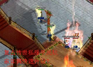 ���Ŵ���˽��ƽ�������ο���������