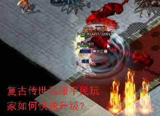 ���Ŵ���˽��ƽ�������ο���������