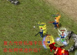 ���Ŵ���˽��ƽ�������ο���������