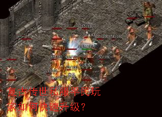 ���Ŵ���˽��ƽ�������ο���������