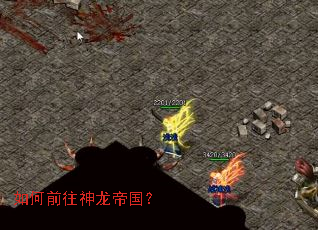 ���ǰ�������۹���