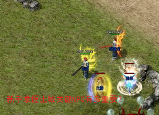 �����������ǹؼ�NPC�ж���Ҫ��