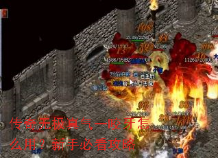 �����޼�����һҧ����ô�ã����ֱؿ�����