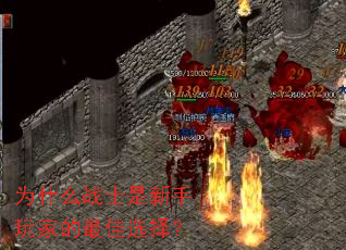 Ϊʲôսʿ��������ҵ����ѡ��