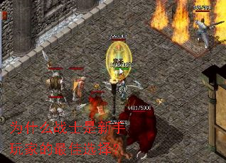 Ϊʲôսʿ��������ҵ����ѡ��