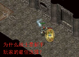 Ϊʲôսʿ��������ҵ����ѡ��