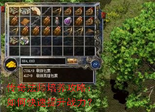 ���淨ʦ�������ԣ���ο�������ս����