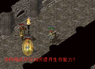 ��ʦ�߼��׶������������������