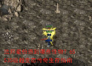 ��ʦ����������Щ���65535������̬��������ָ��