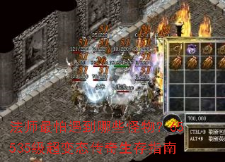 ��ʦ����������Щ���65535������̬��������ָ��