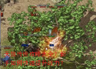 ���Ǵ������Դ�ȫ��������ο�������ս����