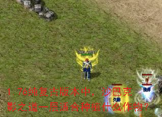 1.76�����Ű汾�У�ɳ�Ϳ�Ӱ֮��һ���ʺ���ֲʲô���