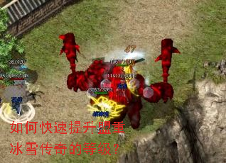 ��ο����������ر�ѩ����ĵȼ���