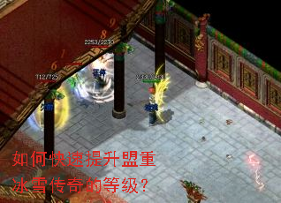 ��ο����������ر�ѩ����ĵȼ���