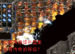 ��ο����������ر�ѩ����ĵȼ���