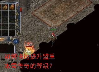 ��ο����������ر�ѩ����ĵȼ���