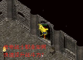 ����սʿְҵ��ο�������ս������